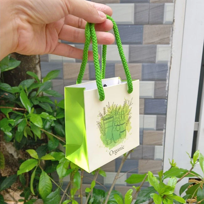 Dịch vụ in túi giấy HCM tại In ấn Trần Gia: Giải pháp cho doanh nghiệp