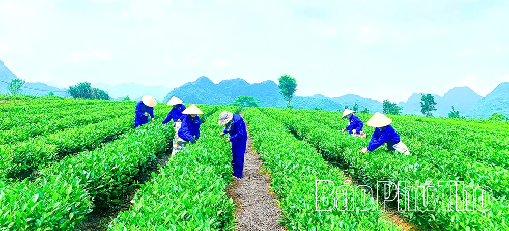 Hội nhập quốc tế - Mở rộng không gian phát triển