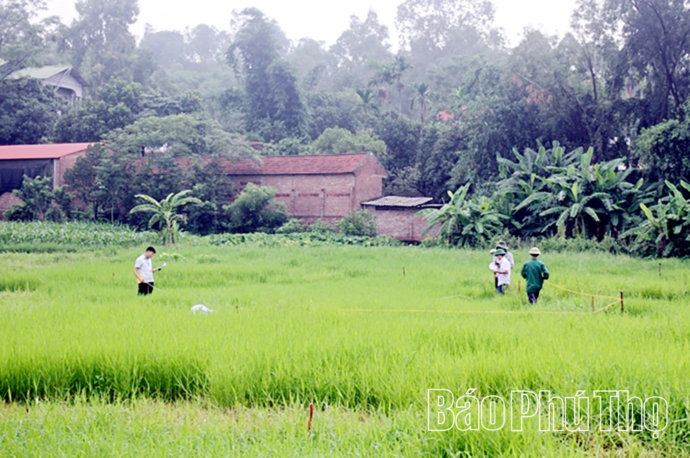  Khai một lần, dùng nhiều lần đối với dữ liệu đất đai