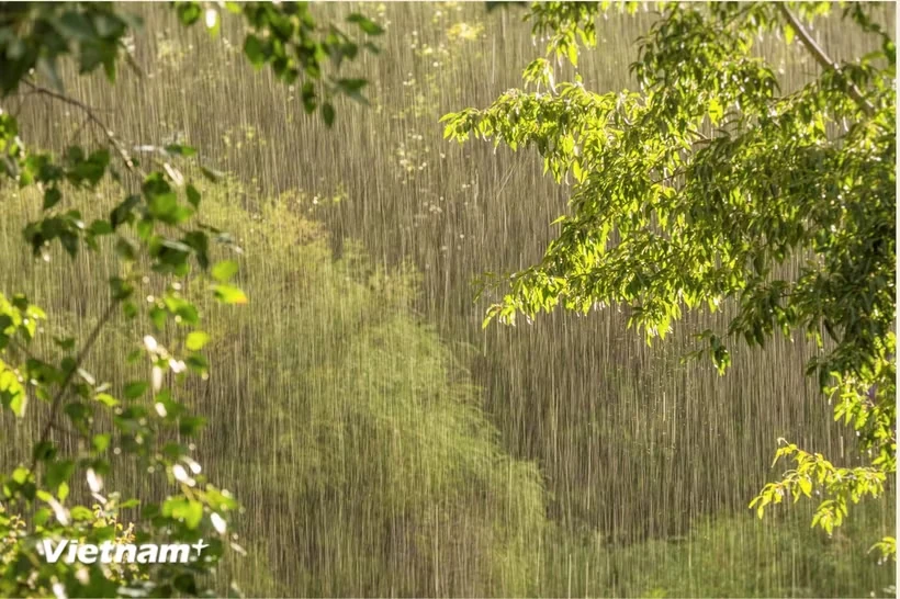 Thời tiết ngày 9/7: Vùng núi, trung du Bắc Bộ và Quảng Ninh có mưa to