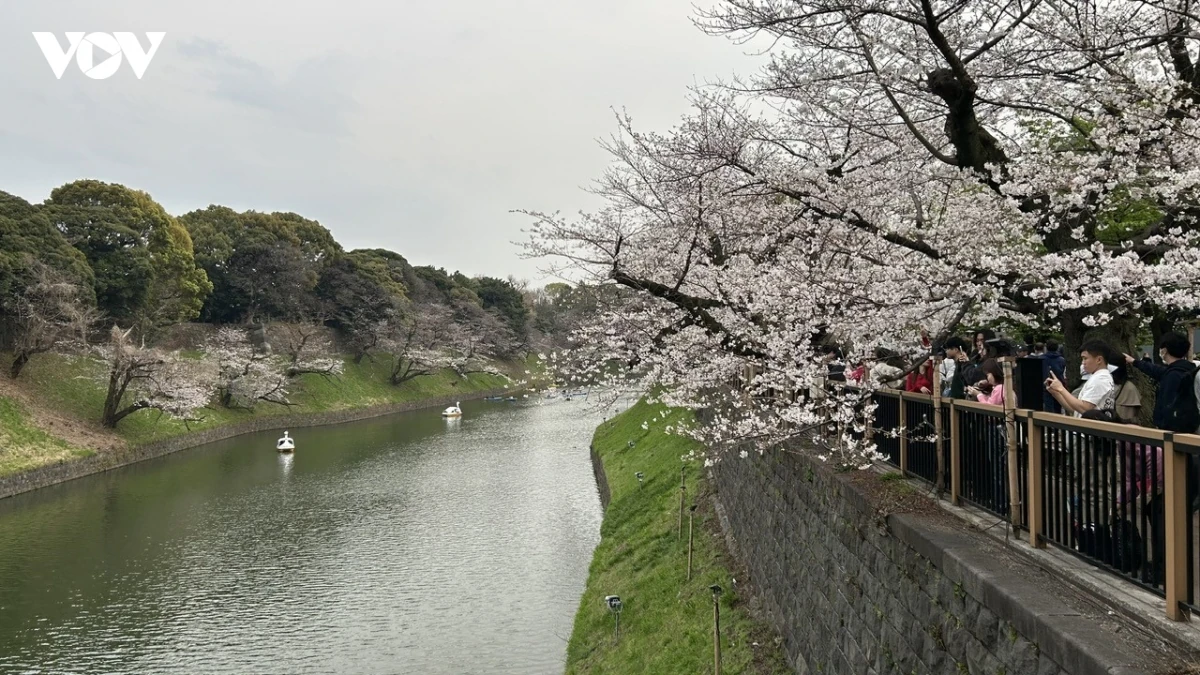 Thủ đô Tokyo của Nhật Bản tiếp tục là thỏi nam châm hút khách quốc tế