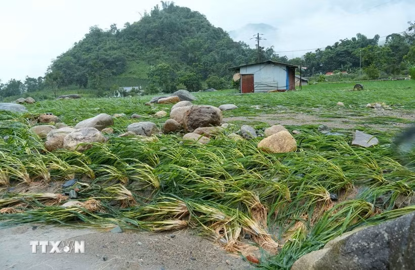 Thời tiết ngày 16/7: Mưa to tại nhiều khu vực, cảnh báo sạt lở ở vùng núi Bắc Bộ