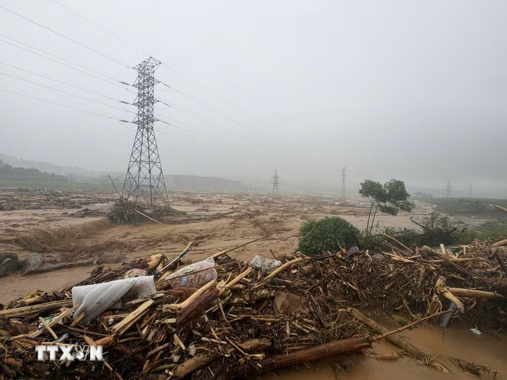 Thủ tướng: Chủ động ứng phó với mưa lớn, bảo đảm an toàn tính mạng người dân