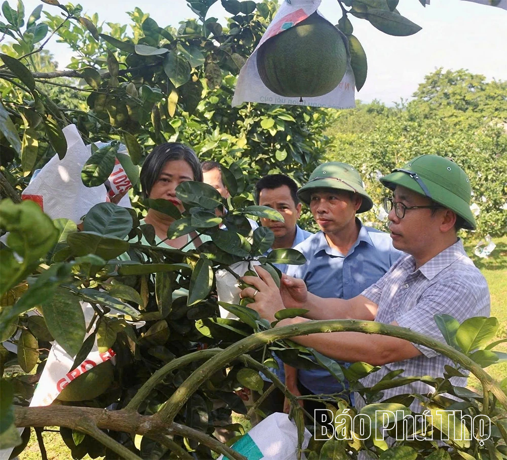 Đẩy mạnh ứng dụng khoa học công nghệ phát triển nông nghiệp xanh