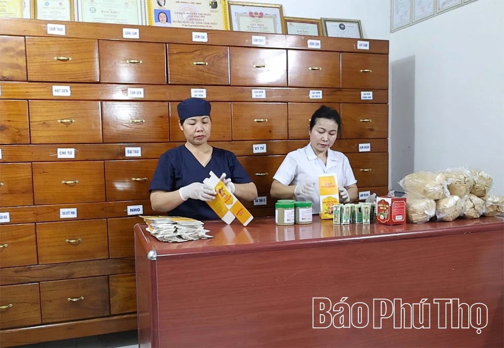 Phát huy thế mạnh cây dược liệu: Hướng đi mới từ vùng đất Yên Lãng