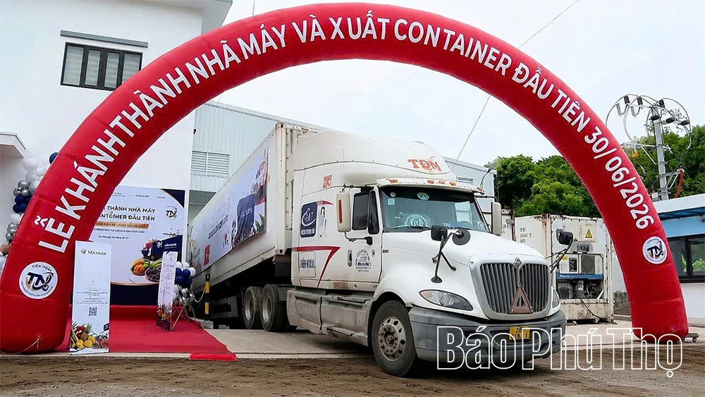 Phú Thọ: Từ vùng trung du đến chuỗi cung ứng toàn cầu