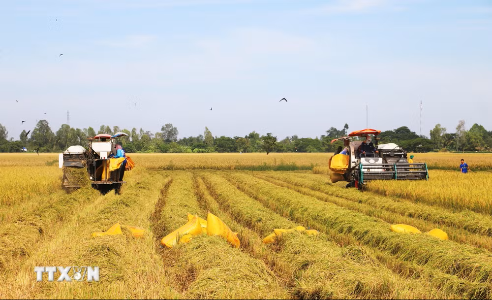 Bốn bước chuyển từ Hội nghị Trung ương 3: Quản trị thống nhất tạo nên sức mạnh