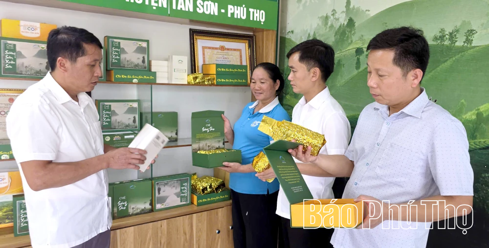 Nâng tầm thương hiệu Trà Đất Tổ
