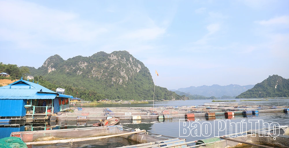 Tân Mai nỗ lực giảm nghèo