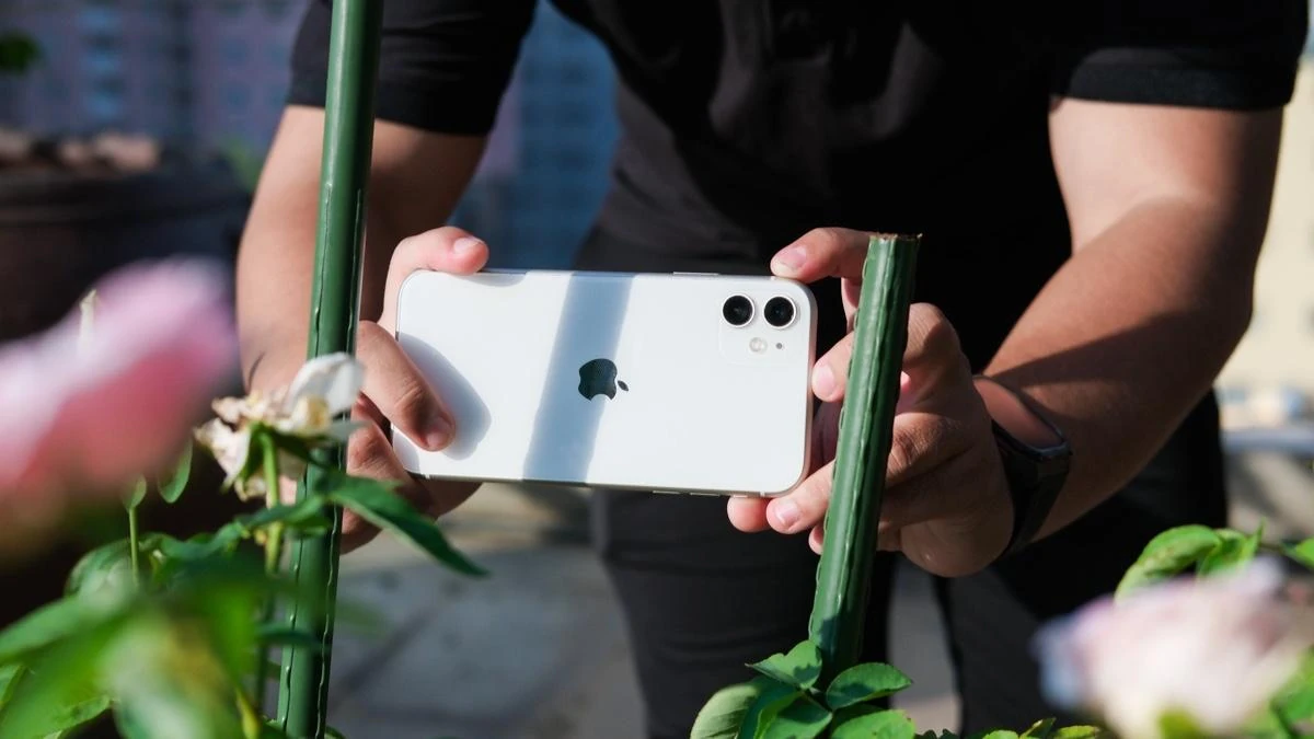 Năm 2026 rồi, mua iPhone 11 cũ có còn là ảo tưởng?