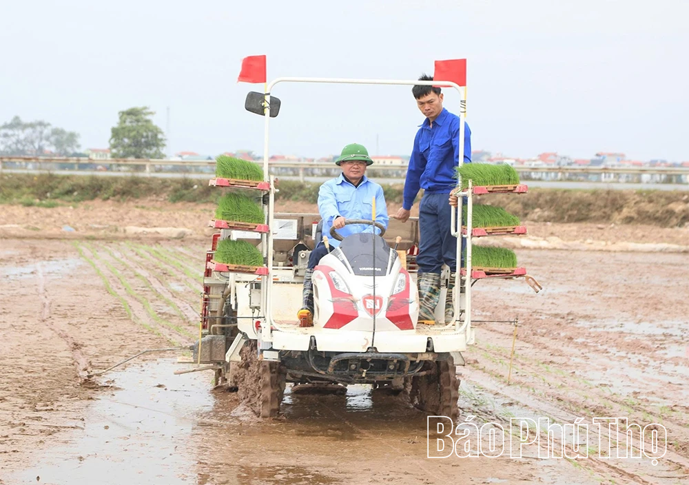Đẩy mạnh chuyển đổi số trong lĩnh vực nông nghiệp và môi trường