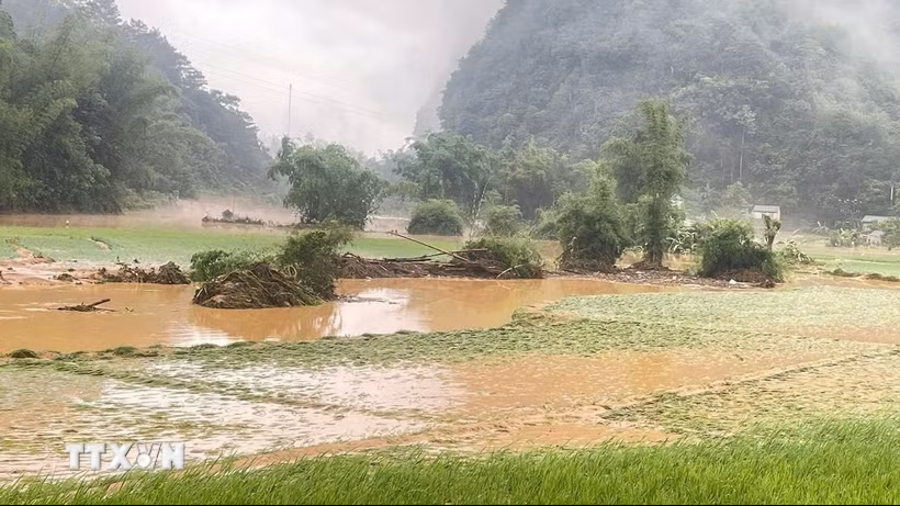 Thời tiết ngày 1/8: Tây Bắc bộ và Thanh Hóa mưa to cục bộ