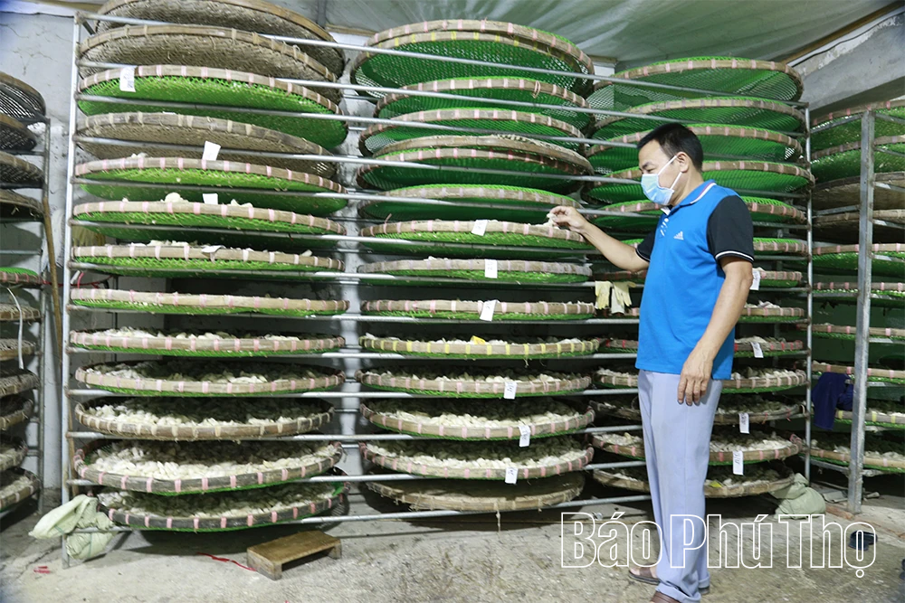 Đồng Lương khơi mở tài nguyên xanh