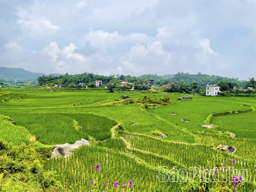 Chuyển động trên vùng dự án Kim Bôi, Dũng Tiến, Mường Vang -&nbsp;Kỳ 2: Đồng thuận để mở đường