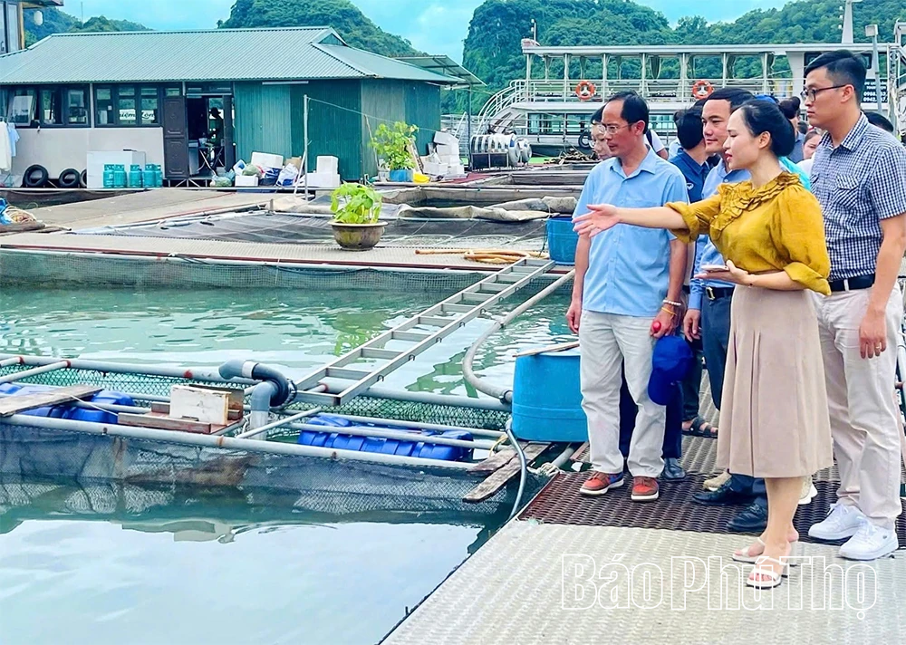 Nhân rộng mô hình kinh tế tuần hoàn