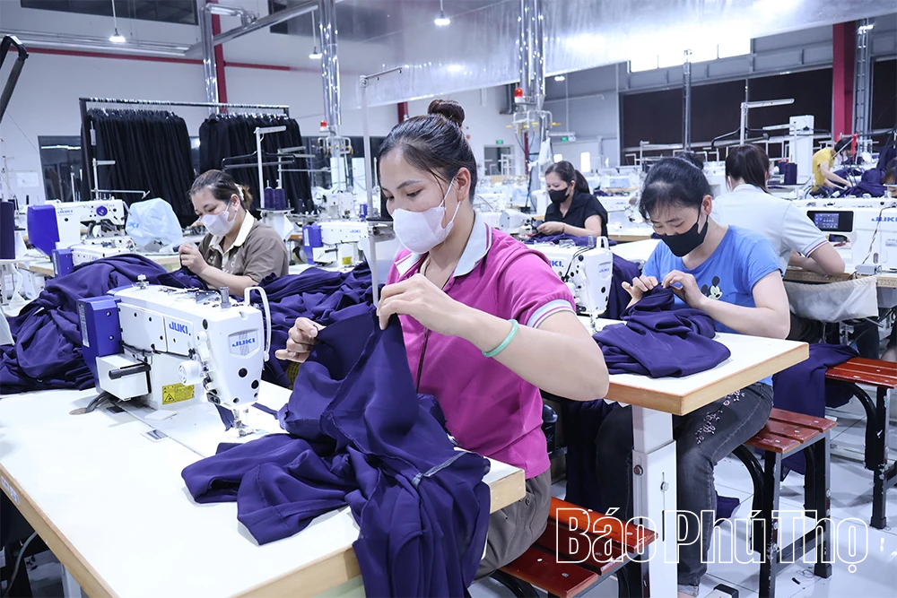 Giải quyết việc làm, tạo sinh kế bền vững cho người lao động