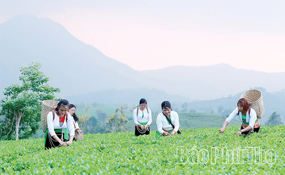 Phát triển nông nghiệp thích ứng biến đổi khí hậu