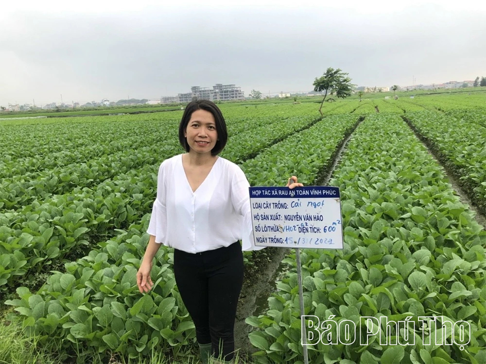 Phát triển nông nghiệp thích ứng biến đổi khí hậu
