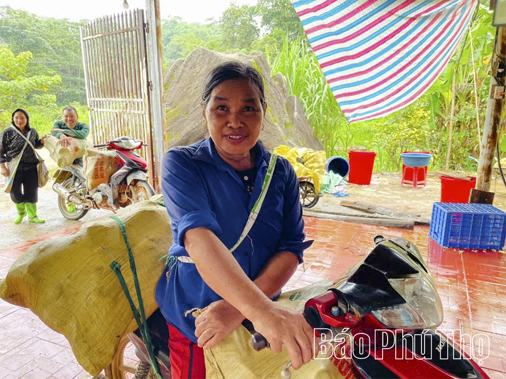 Mùa măng ở Đỉnh Thung