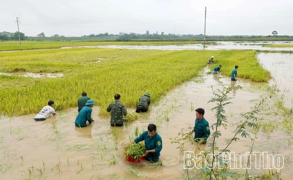 Thực thi hiệu quả pháp luật về khí tượng thủy văn