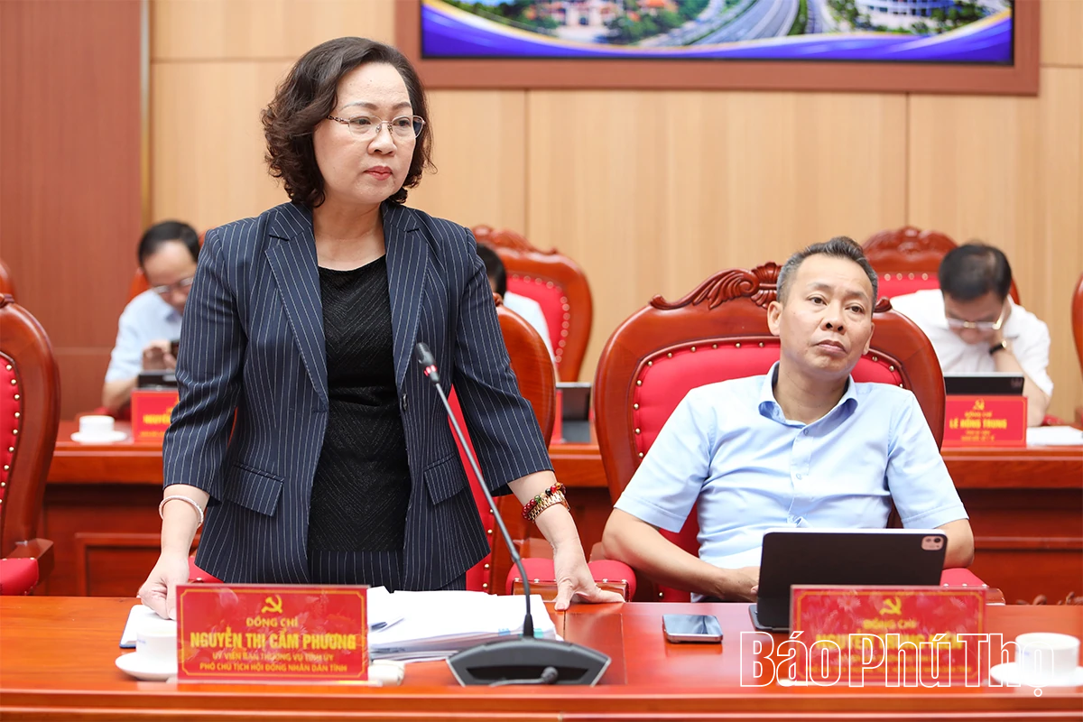 Ban Thường vụ Tỉnh ủy cho ý kiến về công tác tài chính - ngân sách và kế hoạch đầu tư công trung hạn