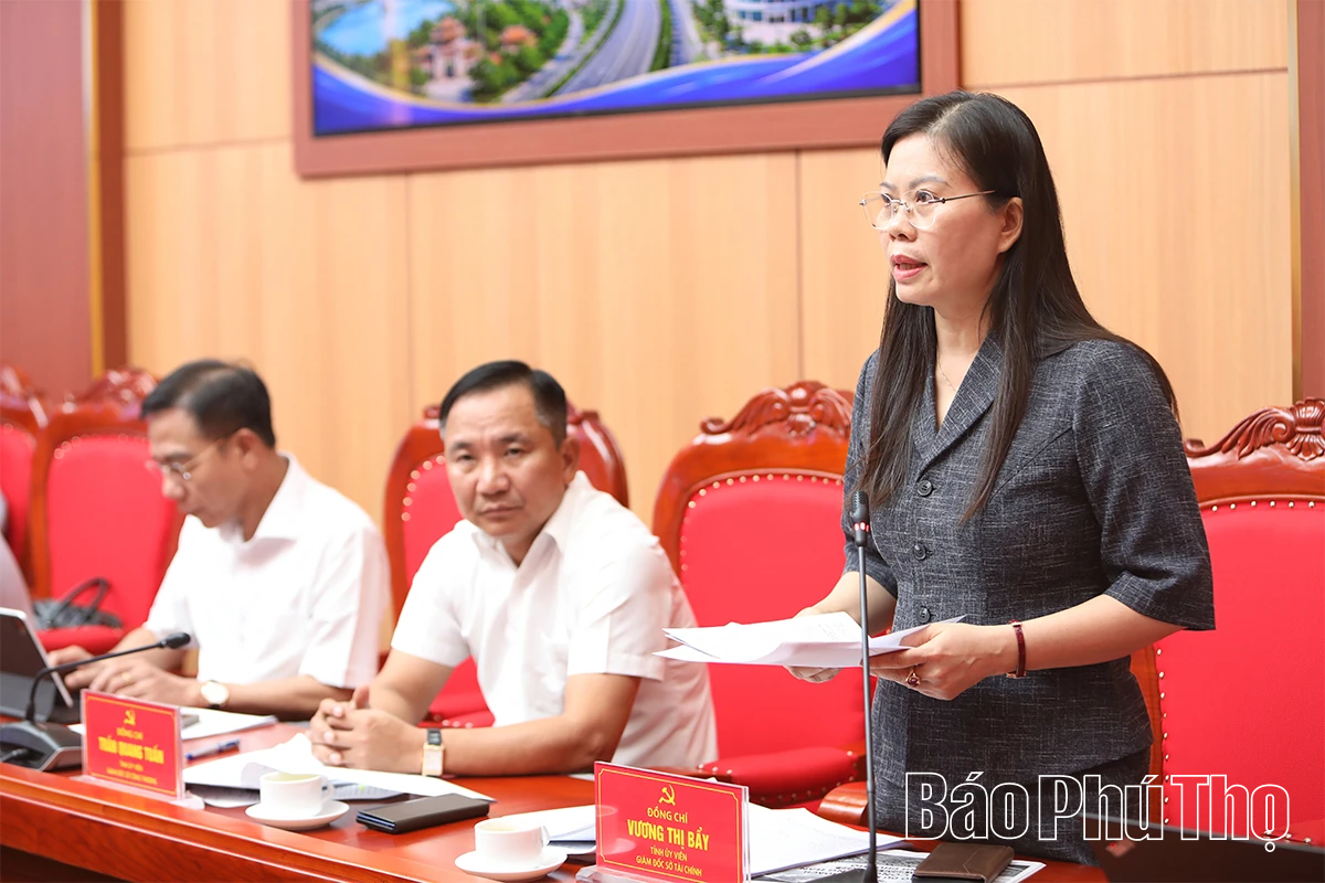 Ban Thường vụ Tỉnh ủy cho ý kiến về công tác tài chính - ngân sách và kế hoạch đầu tư công trung hạn