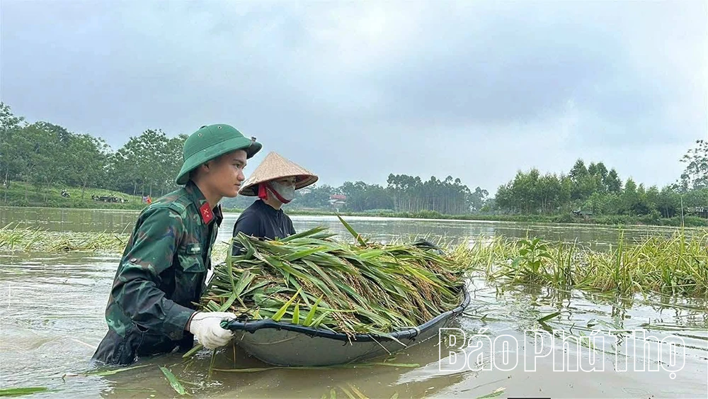 &nbsp;Phát huy vai trò nòng cốt trong phòng, chống thiên tai