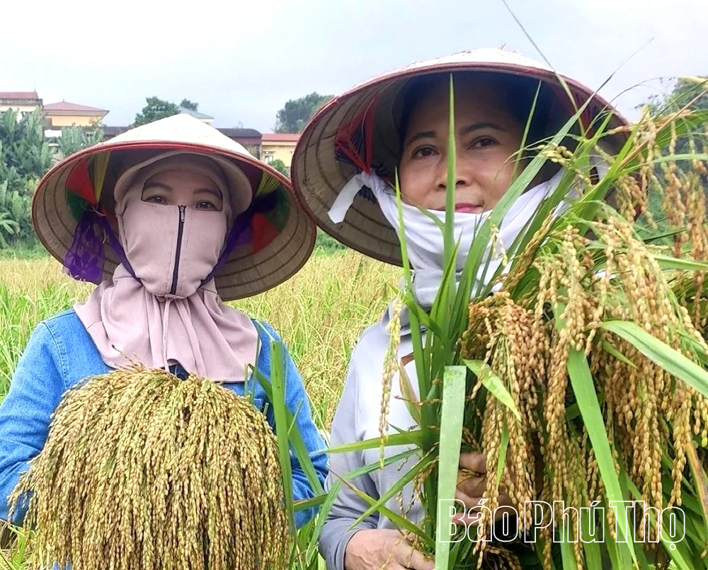 Xúc tiến thương mại: Mở rộng thị trường, nâng tầm sản phẩm