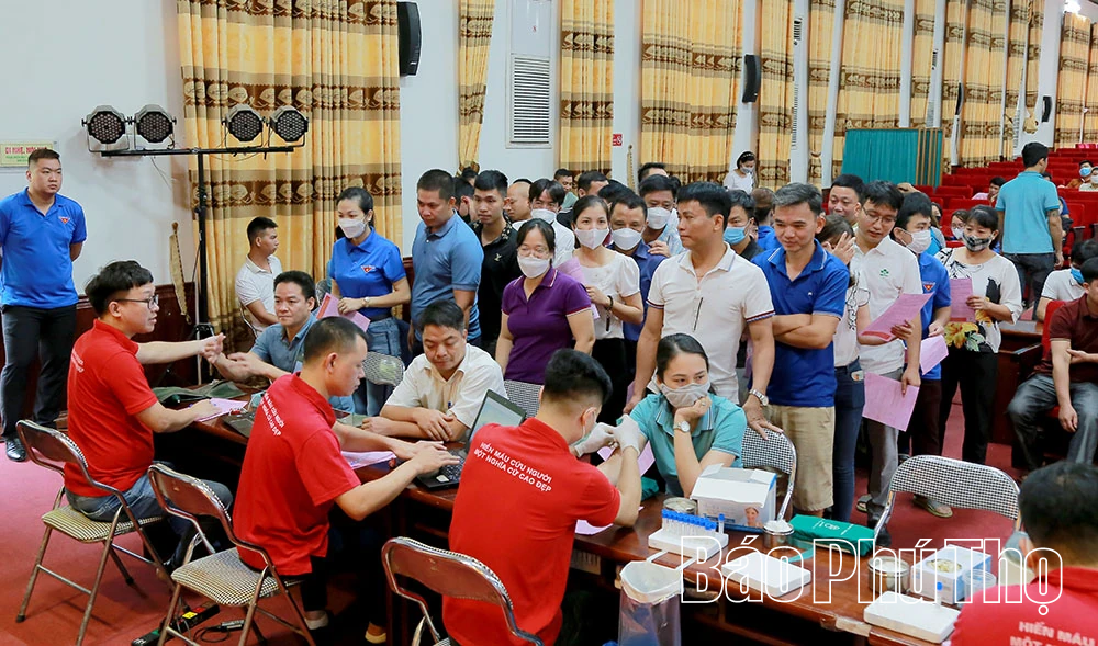 Gieo thêm những “hạt mầm” nhân ái