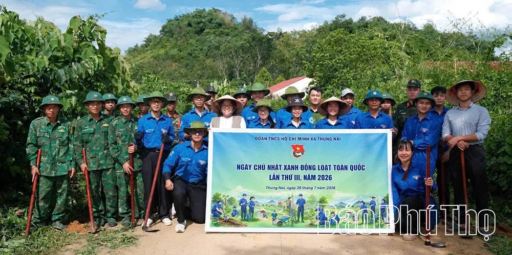 Mùa hè tình nguyện