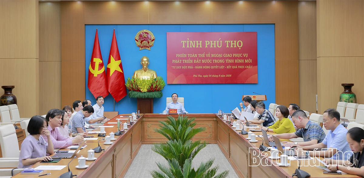 Phiên toàn thể về ngoại giao phục vụ phát triển đất nước trong giai đoạn mới