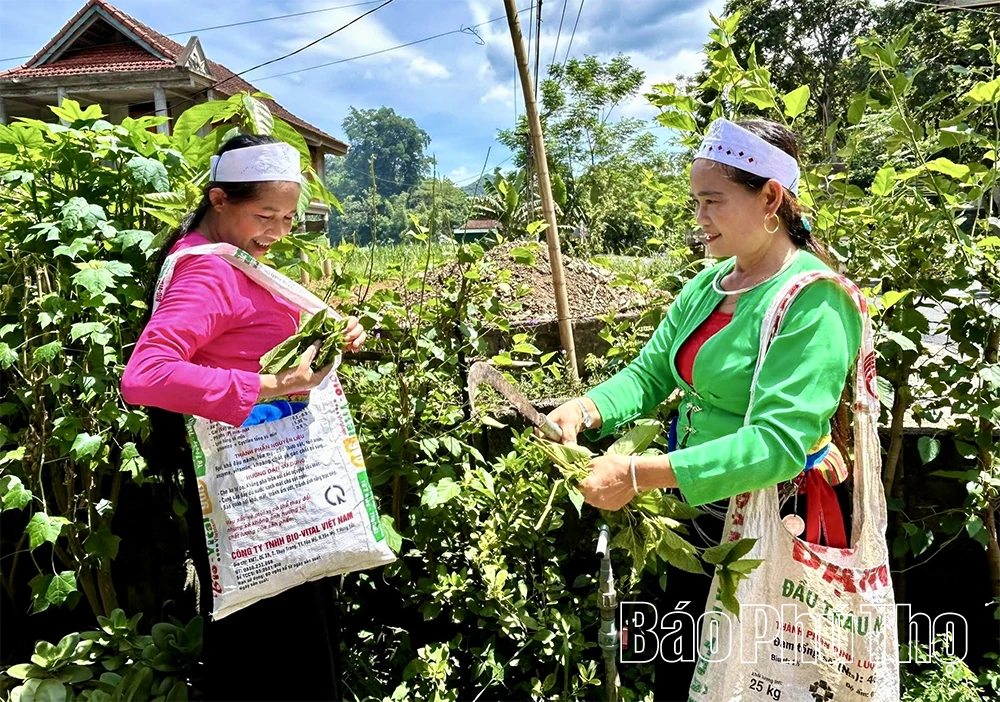 Nét đẹp nghề dệt thổ cẩm dân tộc Mường