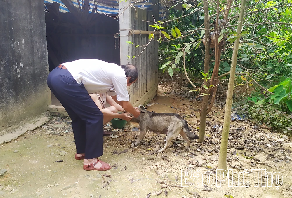 Chủ động phòng bệnh dại, giảm nguy cơ tử vong