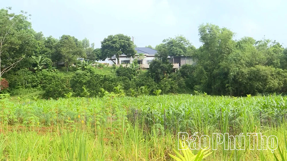 Mương bị lấp, người dân nhiều lần kiến nghị
