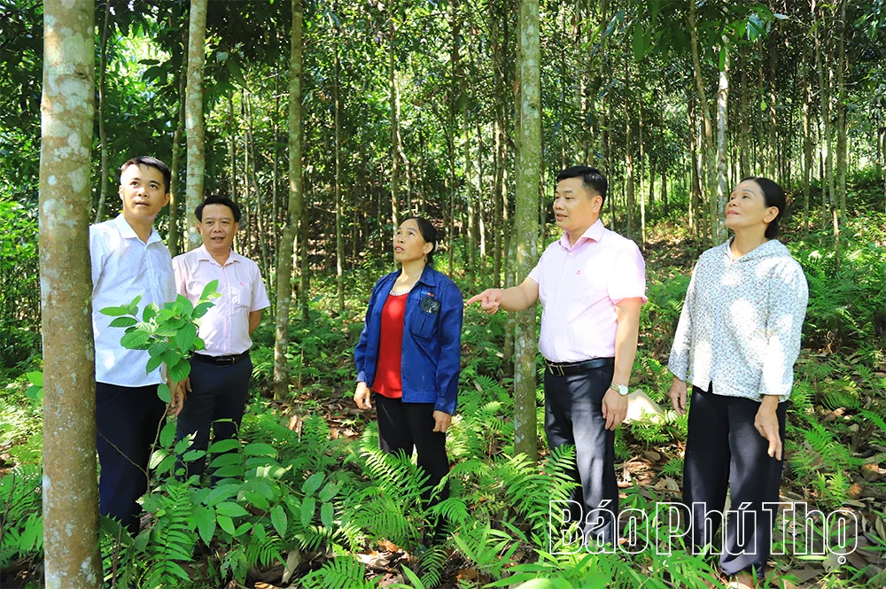 Khi dòng vốn của Đảng bén rễ vùng khó khăn - Kỳ 3: Bản Mường sang trang mới và “trái ngọt” từ niềm tin