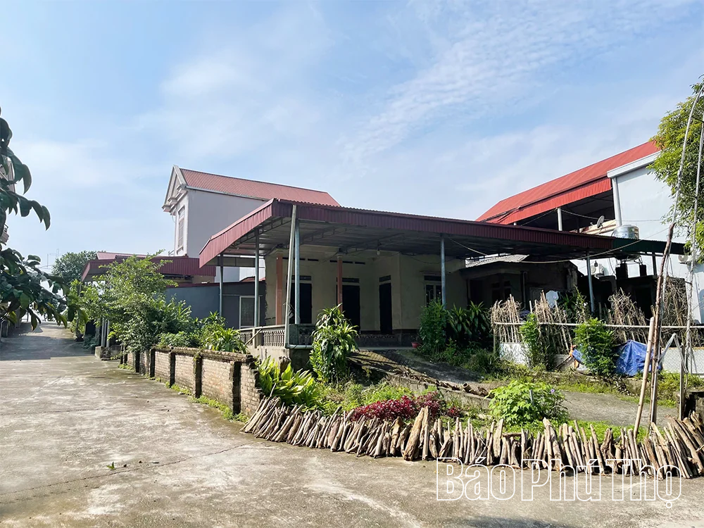 Chuyện “cắm sào” lên bờ ở Vân Tập