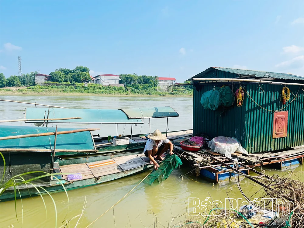 Chuyện “cắm sào” lên bờ ở Vân Tập