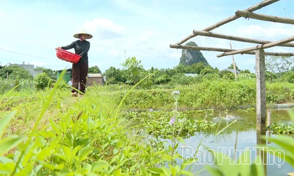 Nông dân thi đua làm giàu