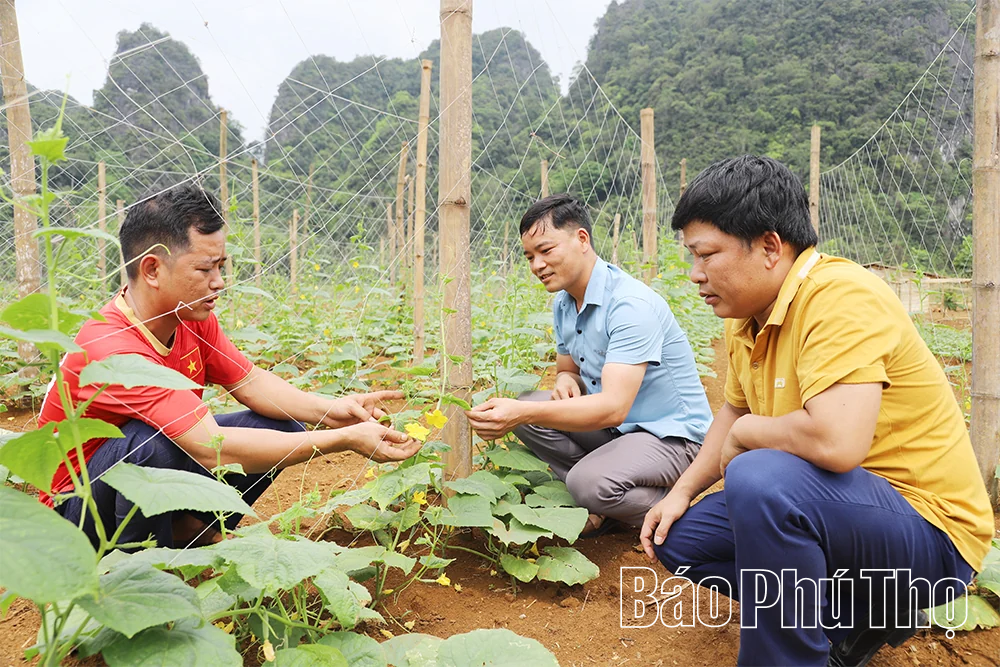 Lạc Lương tự lực vượt khó&nbsp;