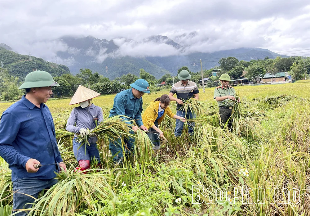 Đẩy mạnh cải cách hành chính trong xây dựng chính quyền số