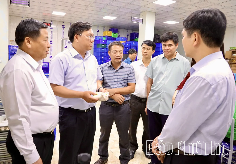 Nhân rộng mô hình sản xuất nông nghiệp hiệu quả