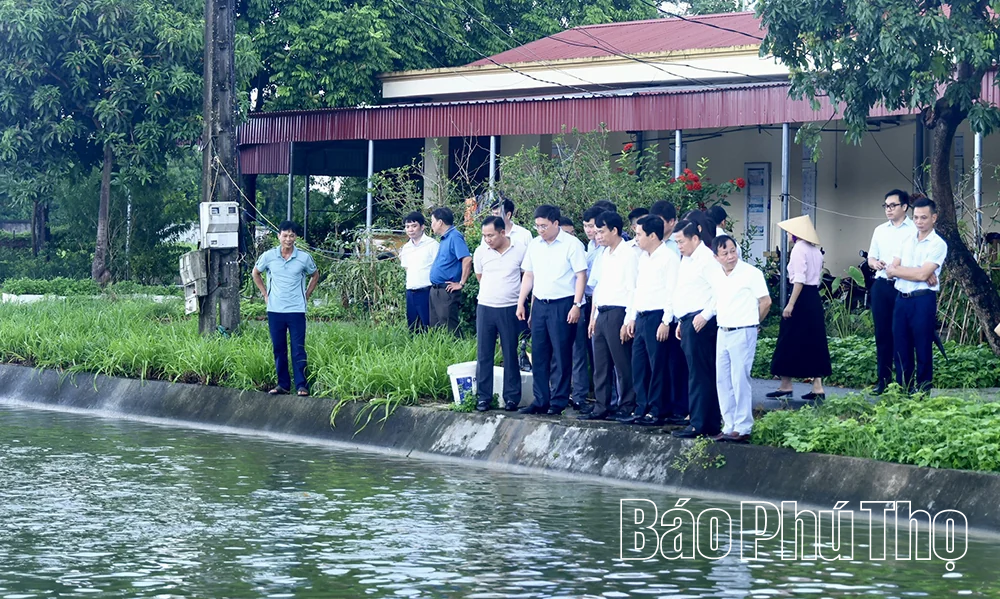Nhân rộng mô hình sản xuất nông nghiệp hiệu quả