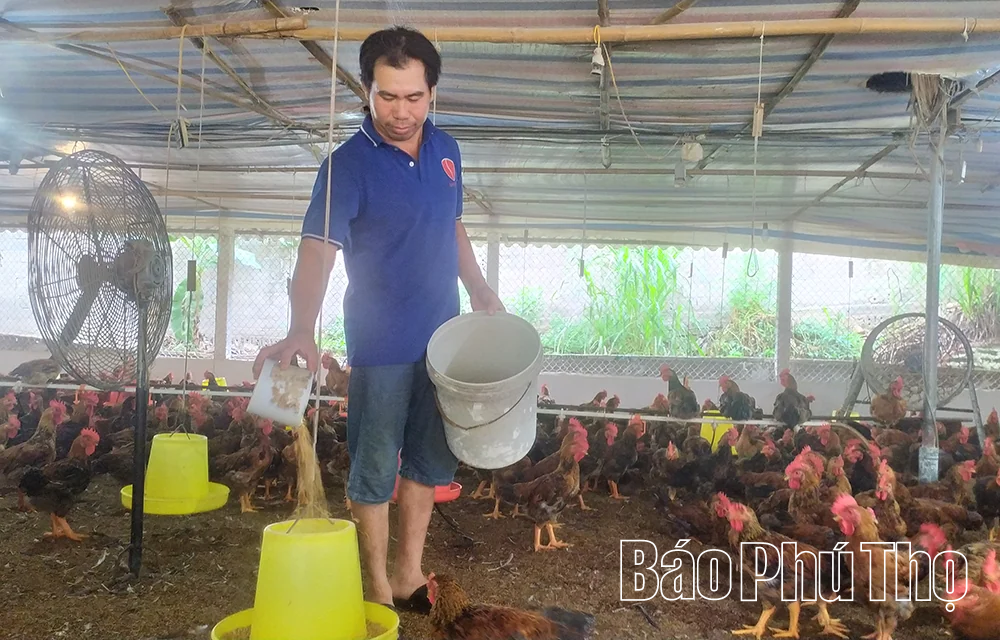 Ổ n định &nbsp;nguồn cung thực phẩm trong dịp cuối năm