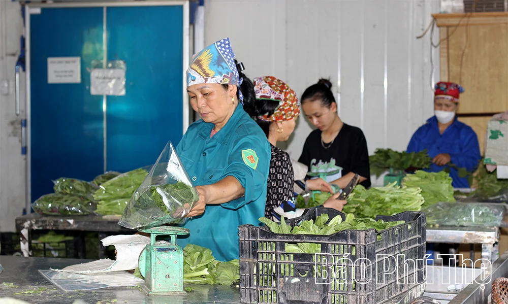 Động lực lan tỏa và khát vọng vươn xa