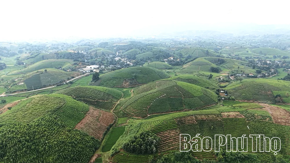 Minh Đài phát huy lợi thế, tạo bứt phá cho sản phẩm OCOP