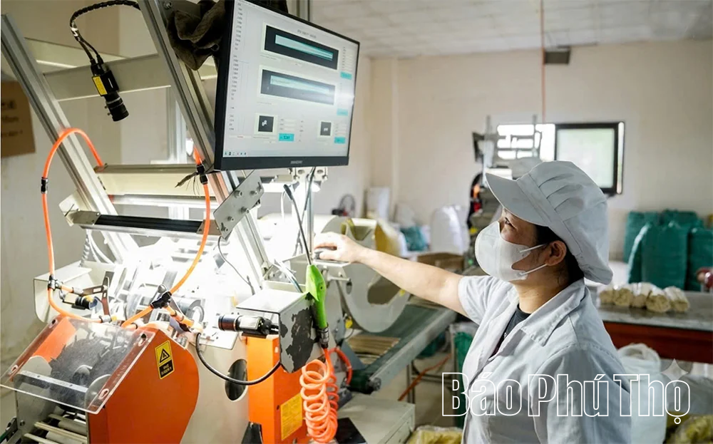 Chuyển đổi số nâng cao hiệu quả sản xuất