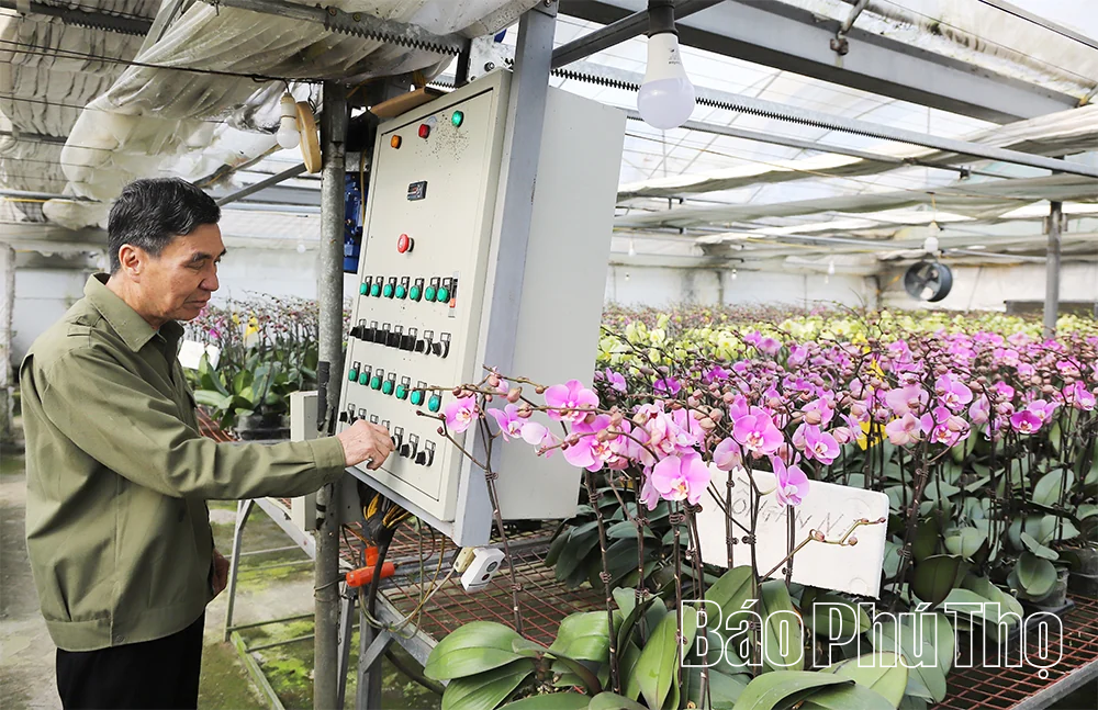 Chuyển đổi số nâng cao hiệu quả sản xuất