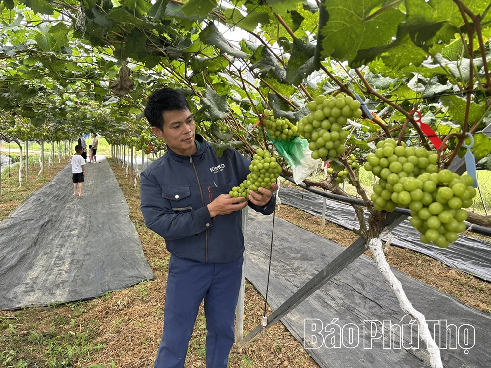 Khai thác tiềm năng kinh tế nông thôn từ du lịch trải nghiệm