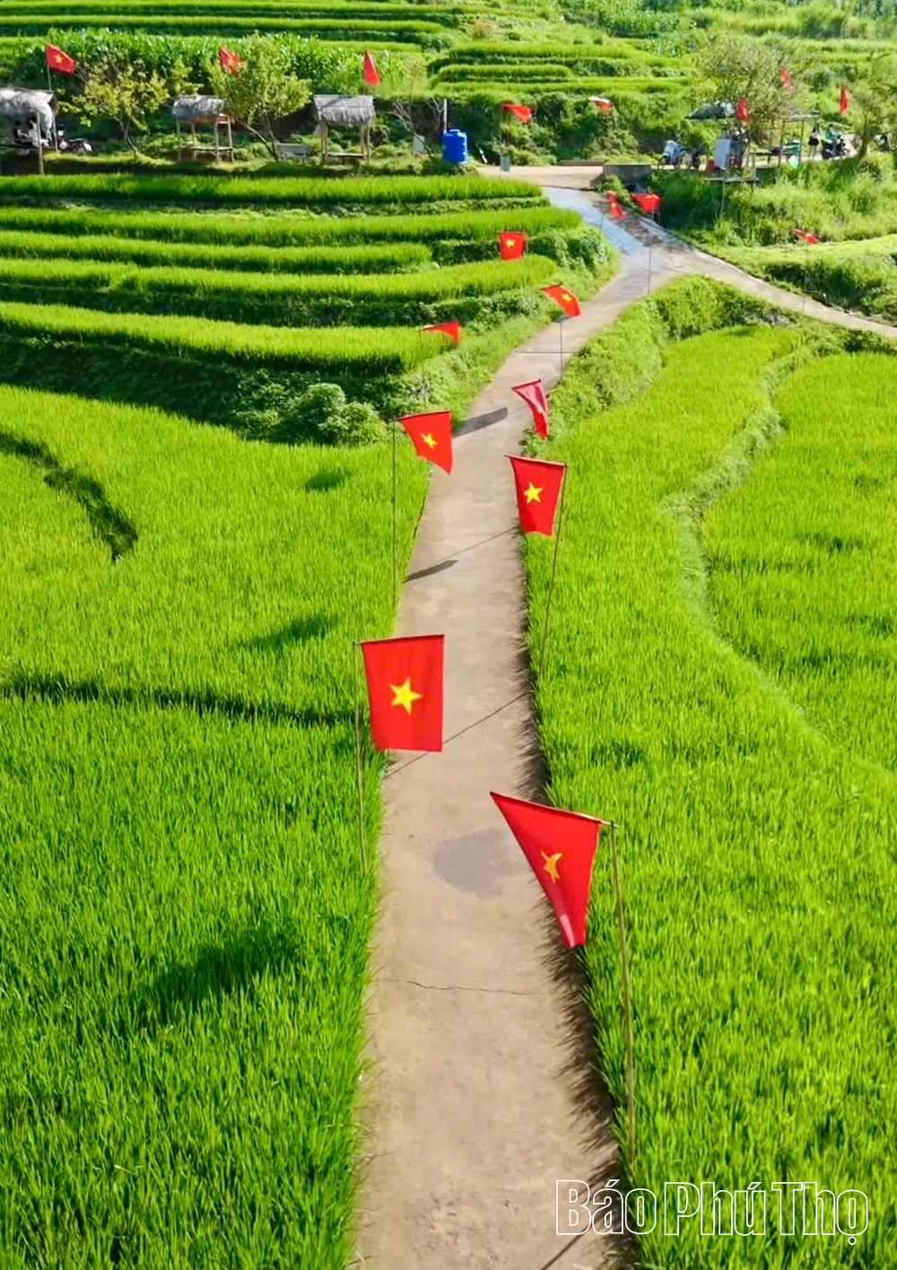 Tự hào màu cờ Tổ quốc trong ngày Quốc khánh