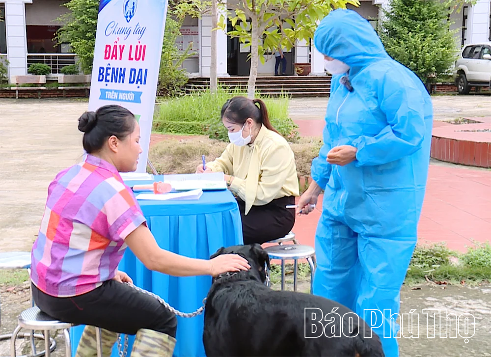 Phú Thọ diễn tập phòng, chống bệnh dại trên người